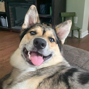 Meet your Posher, Molly